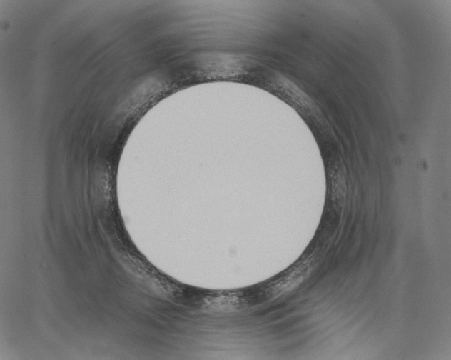 X0000062600362200601181610