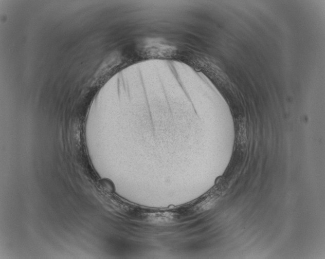X0000062600363200601181610