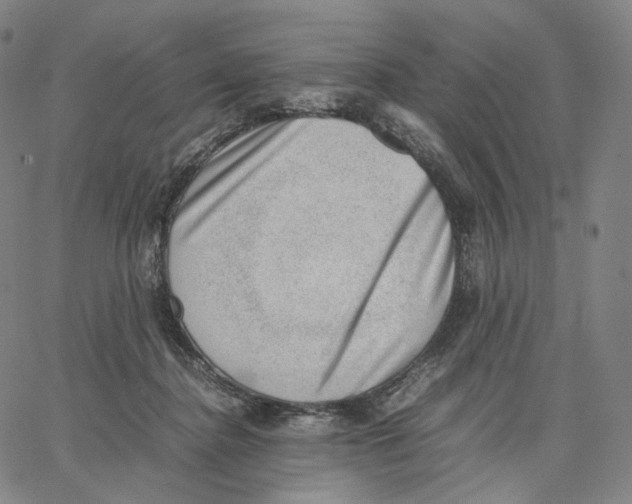 X0000062600364200601181610
