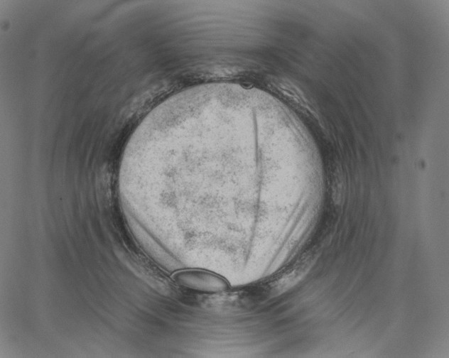 X0000062600366200601181610