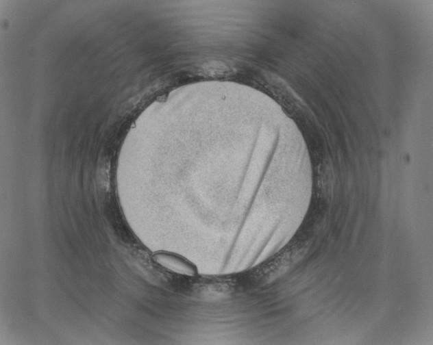 X0000062600368200601181610
