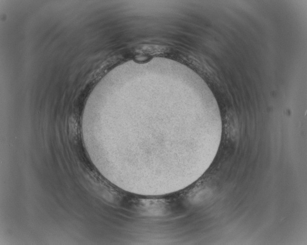 X0000062600371200601181610