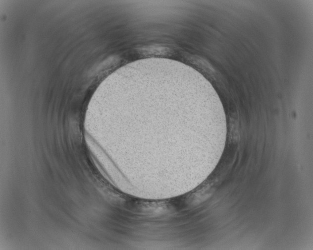 X0000062600377200601181610
