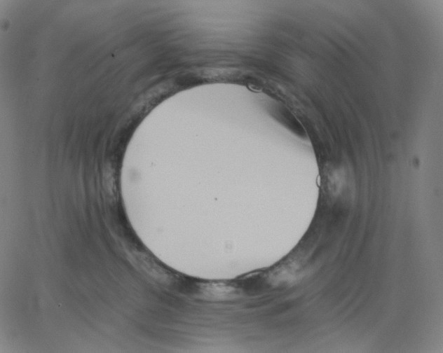 X0000062600380200601181610
