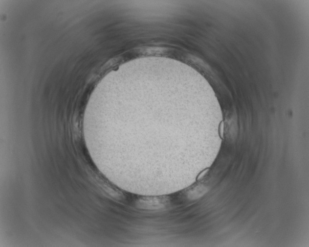 X0000062600381200601181610