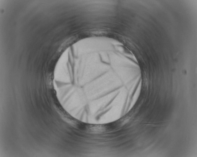 X0000062600383200601181610