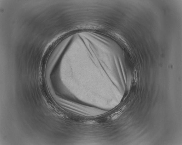 X0000062600388200601181610