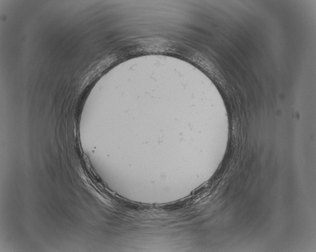 X0000062600397200601181609
