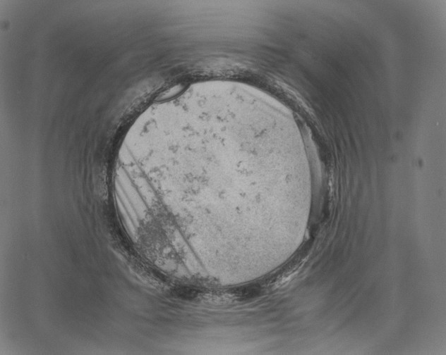 X0000062600403200601181609