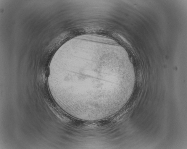 X0000062600405200601181609
