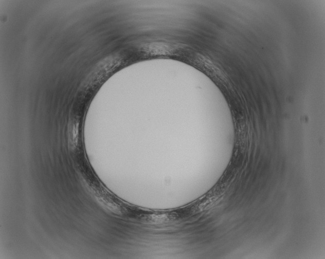 X0000062600406200601181609
