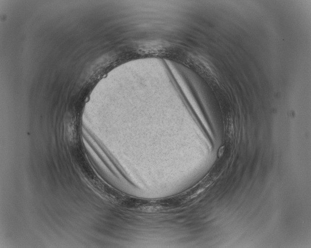 X0000062600408200601181609