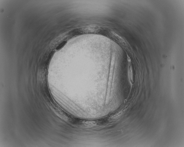 X0000062600409200601181609