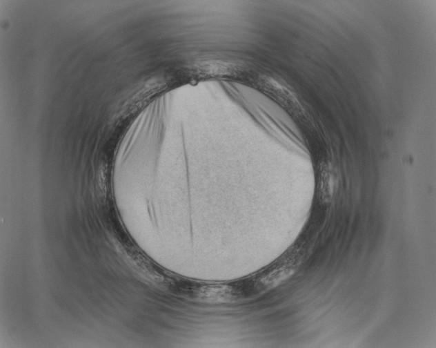 X0000062600410200601181609