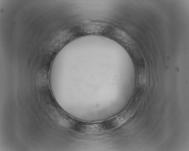 X0000062600411200601181609