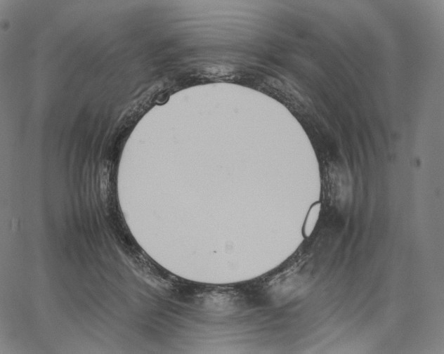 X0000062600412200601181609
