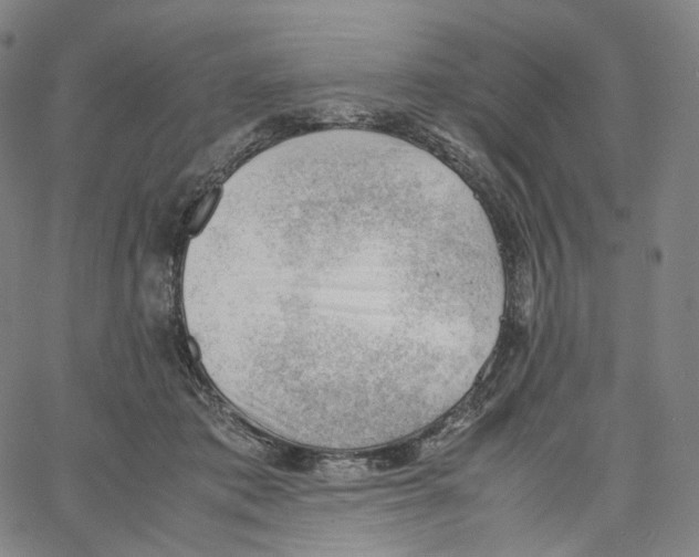 X0000062600413200601181609