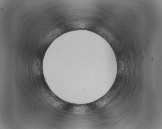 X0000062600414200601181609