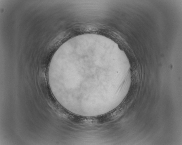 X0000062600415200601181609