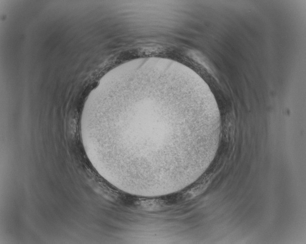X0000062600417200601181609