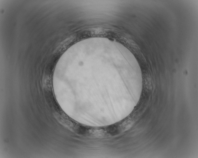 X0000062600419200601181609