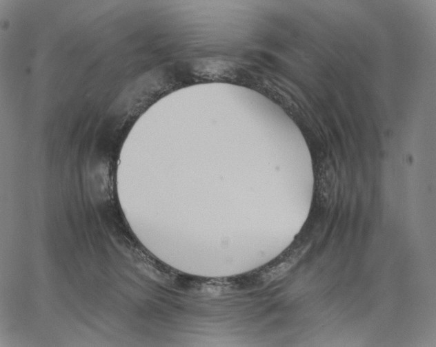 X0000062600420200601181609