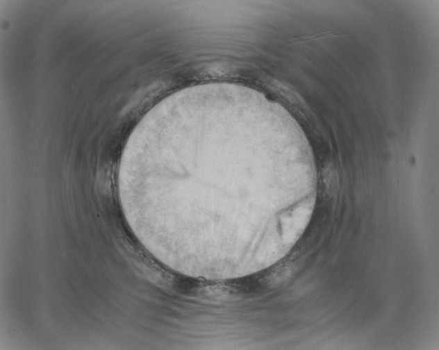 X0000062600423200601181609