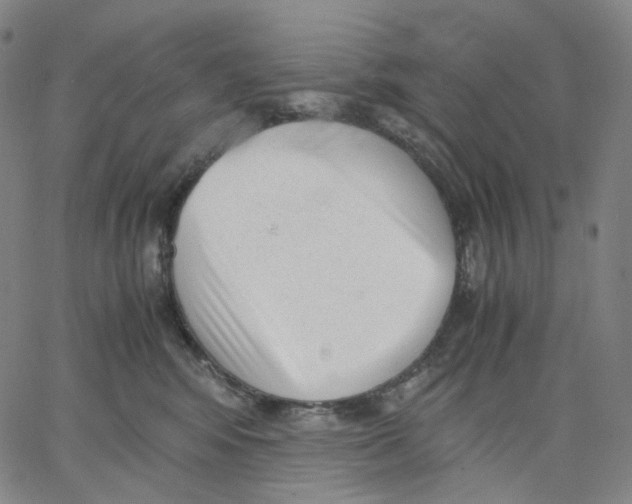 X0000062600424200601181609
