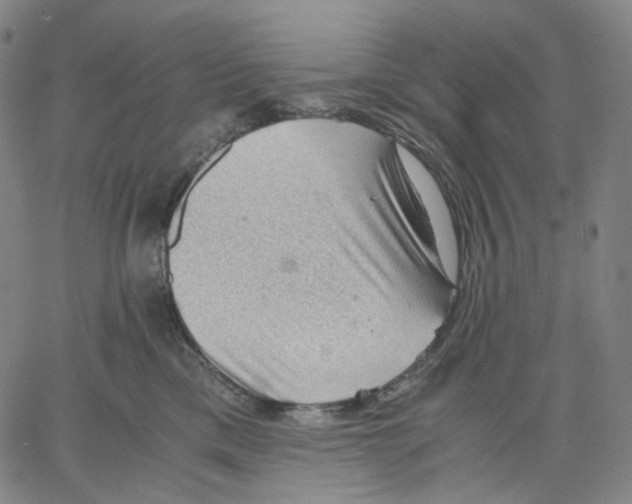 X0000062600425200601181609