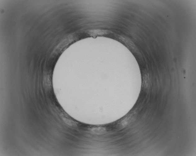 X0000062600426200601181609