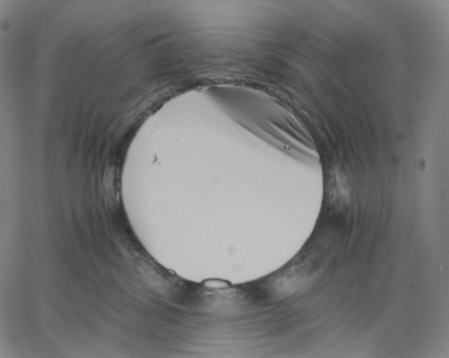 X0000062600428200601181609