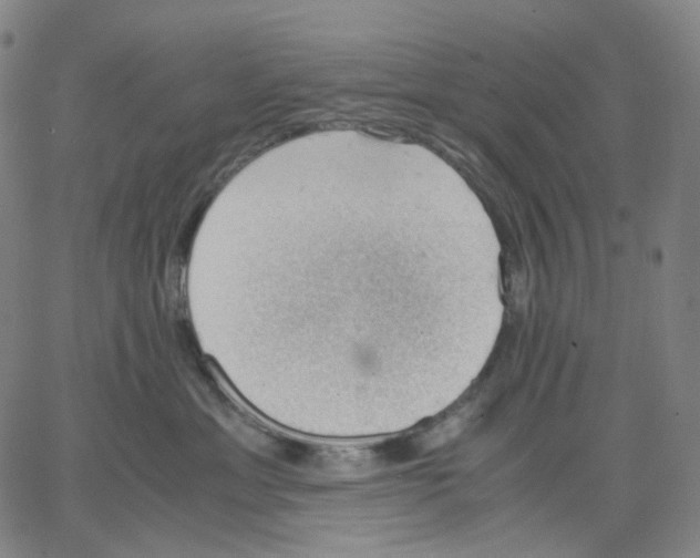 X0000062600429200601181609