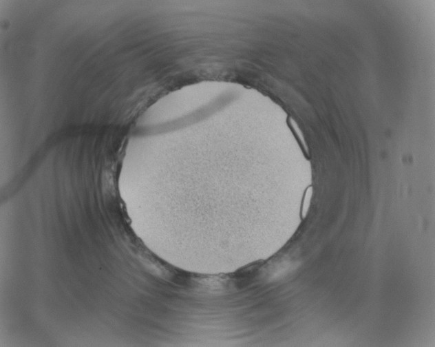 X0000062600432200601181609
