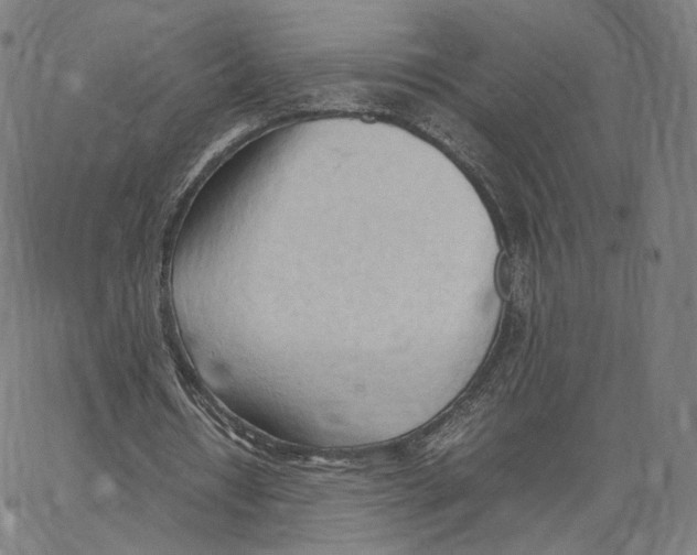 X0000062600434200601181608