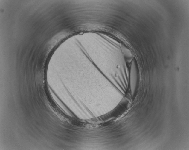 X0000062600438200601181608