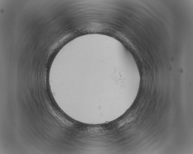 X0000062600446200601181608