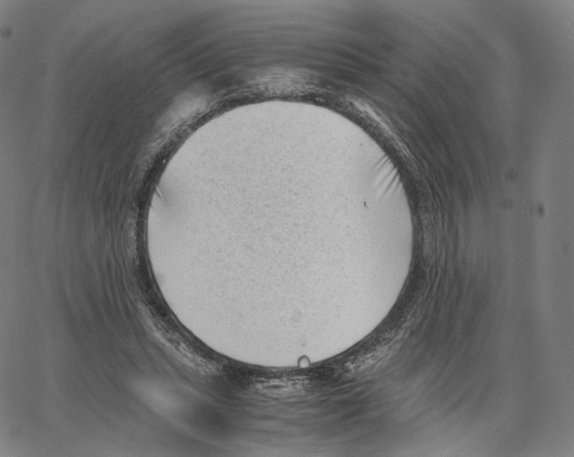 X0000062600447200601181608