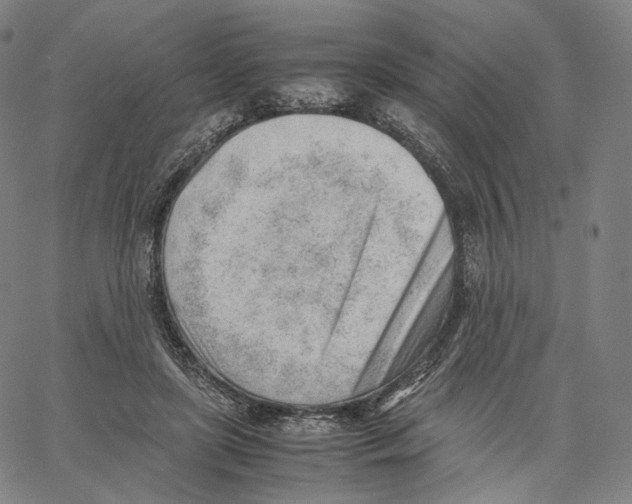 X0000062600451200601181608