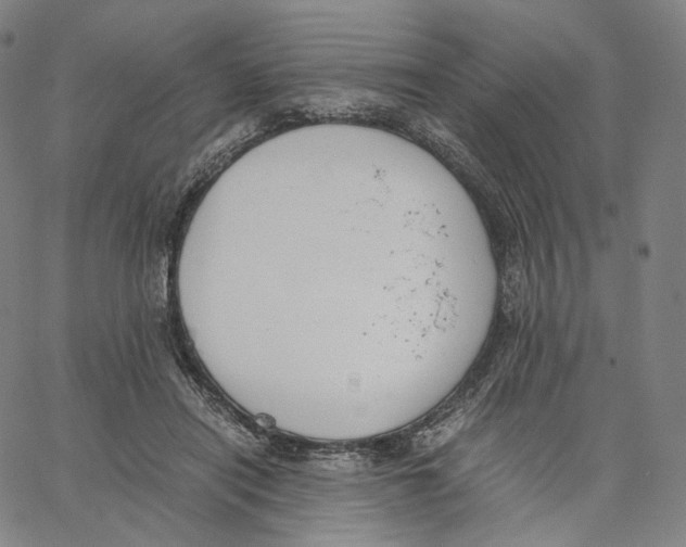 X0000062600454200601181608