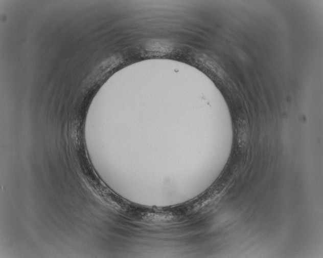 X0000062600455200601181608