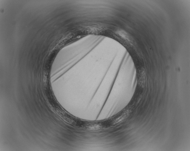 X0000062600456200601181609