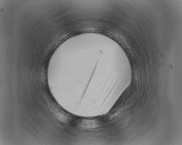 X0000062600457200601181609