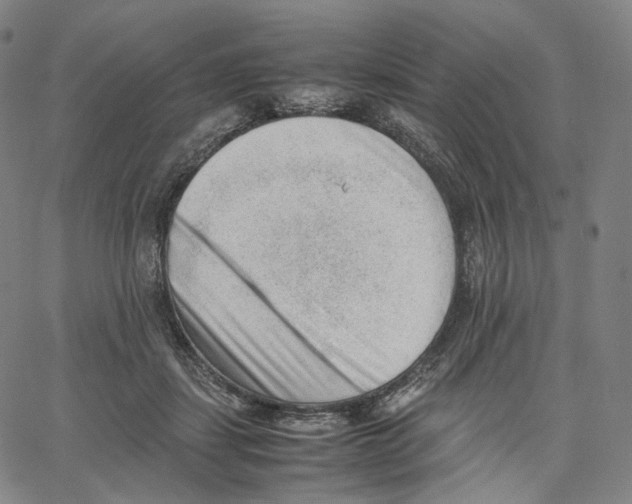 X0000062600459200601181609