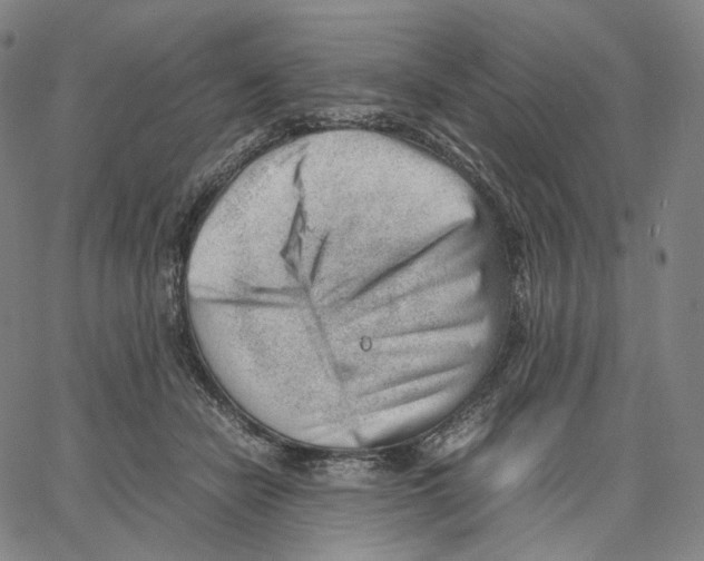 X0000062600462200601181609