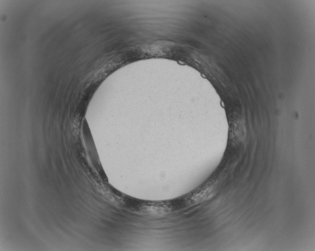 X0000062600466200601181609