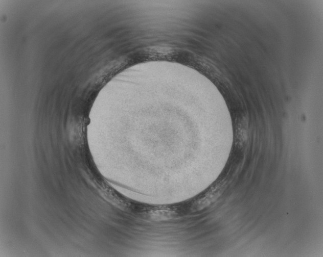 X0000062600468200601181609