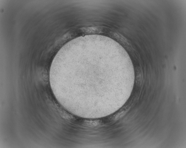 X0000062600469200601181609