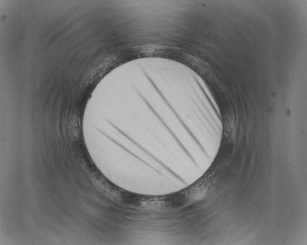 X0000062600470200601181609