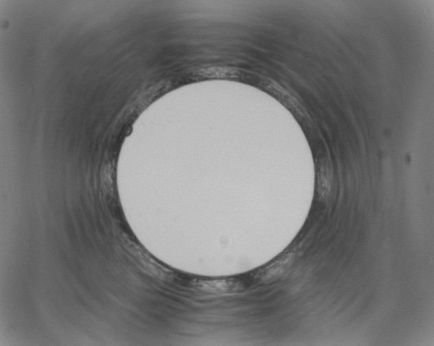 X0000062600473200601181609