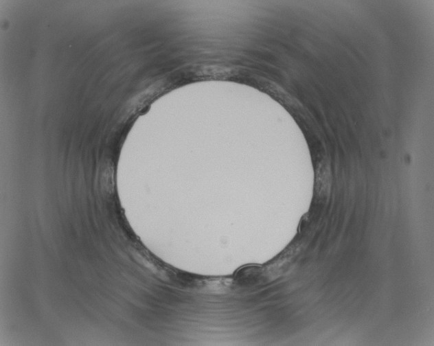 X0000062600474200601181609